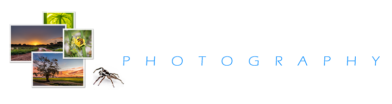 Girendra Persaud Photography